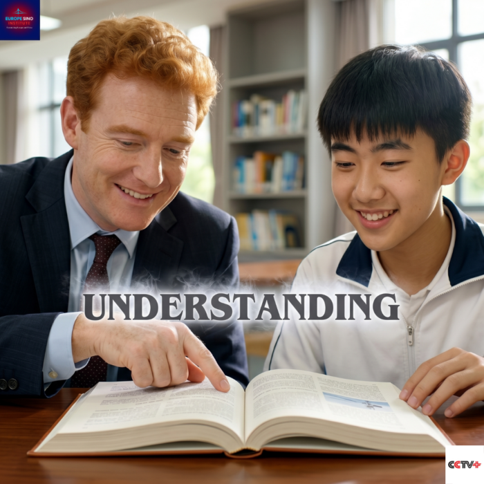 Ireland Sino Institute Educational Exchange