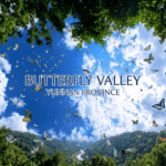 A Fluttering Spectacle: Discovering Yunnan’s Butterfly Valley
